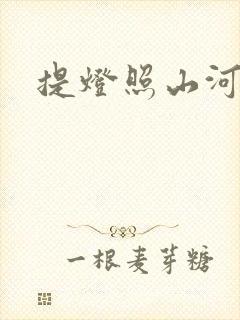 提灯照山河封面