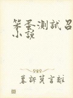 笨蛋测试召唤兽小说