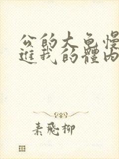 公的大龟慢慢挺进我的体内