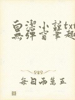 白洁小说txt无弹窗笔趣阁封面