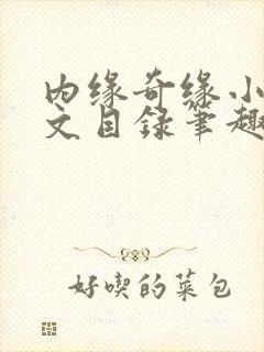 内缘奇缘小说全文目录笔趣阁