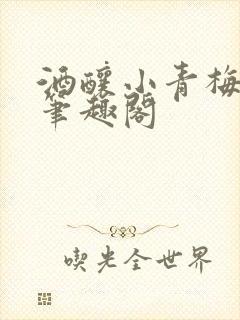 酒酿小青梅po笔趣阁