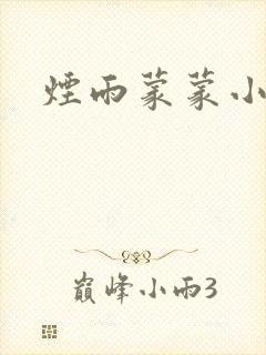 烟雨蒙蒙小说封面