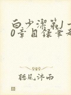 白少洁第1一40章目录笔趣阁封面