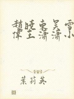 赵晓东吴雪晴郑伟王潇潇小说名字