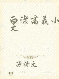 白洁高义小说全文