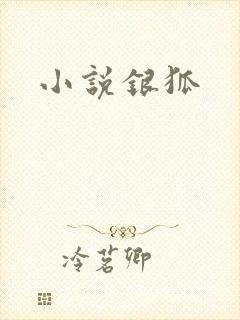 小说银狐封面