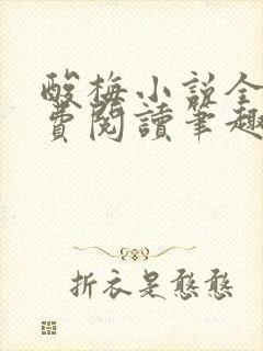 酸梅小说全文免费阅读笔趣阁