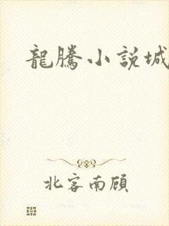 龙腾小说城
