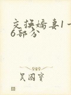 交换娇妻1一36部分