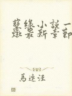 孽缘小说一家乱炖最新章节阅读