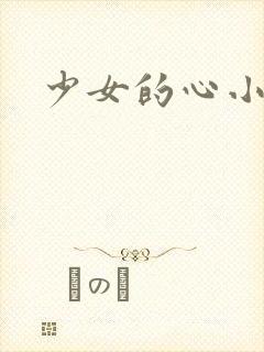 少女的心小说封面