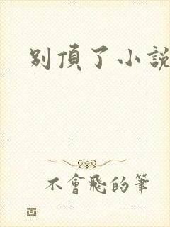 别顶了小说