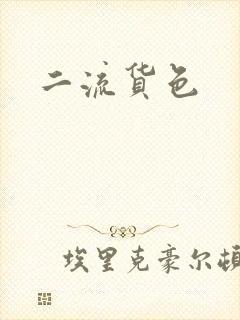 二流货色封面