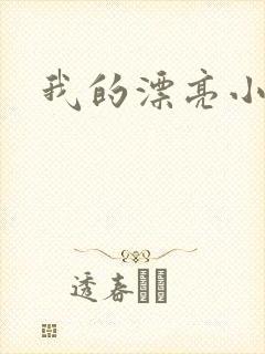 我的漂亮小后妈封面