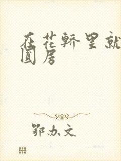 在花轿里就开始圆房