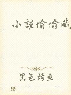 小说偷偷藏不住