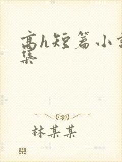 高h短篇小说合集