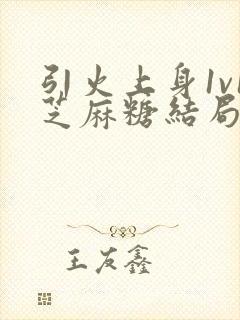 引火上身1v1芝麻糖结局