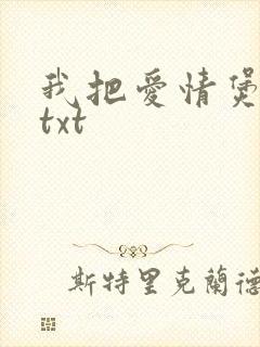 我把爱情煲成汤txt