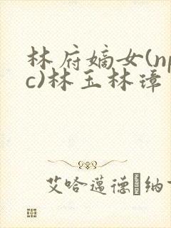 林府嫡女(npc)林玉林璋