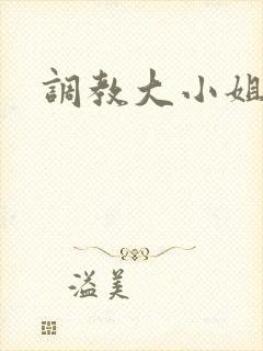 调教大小姐封面