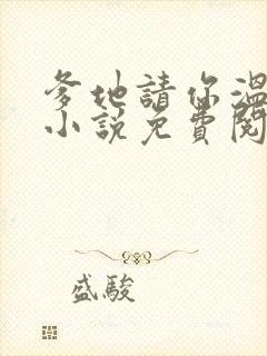 爹地请你温柔点小说免费阅读