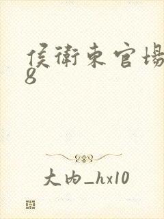 侯卫东官场笔记8封面