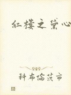 红楼之黛心如玉