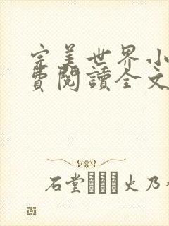 完美世界小说免费阅读全文封面