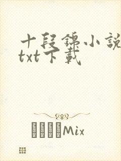 十段锦小说全本txt下载