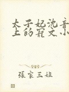 太子妃沈音和皇上的宠文小说