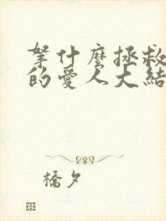 拿什么拯救你我的爱人大结局封面