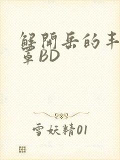 解开岳的丰满奶罩BD