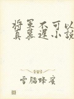 将军不可以魏云真慕迟小说笔趣阁封面