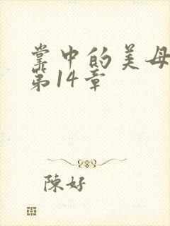 掌中的美母版主第14章