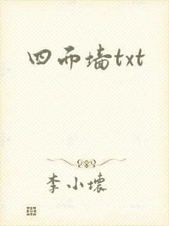 四面墙txt