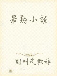 最热小说封面