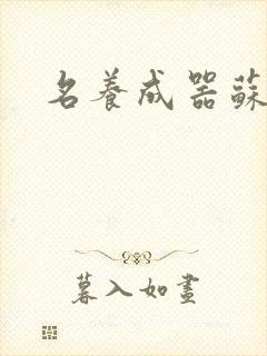 名养成器苏沫沫