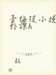 青梅从小摸到大补课h