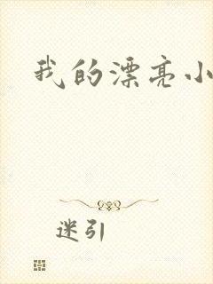 我的漂亮小后妈