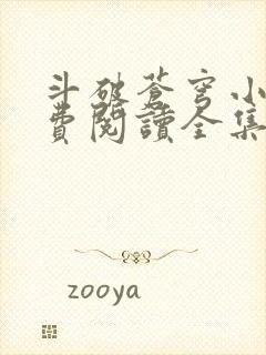 斗破苍穹小说免费阅读全集封面