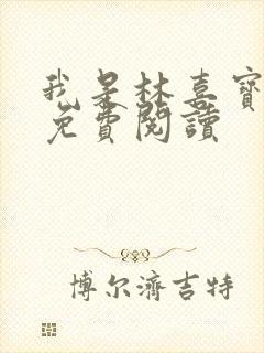 我是林喜宝小说免费阅读封面