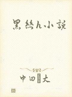 黑丝h小说