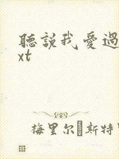 听说我爱过你txt