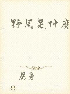 野周是什么意思