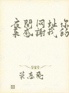 夜间网址你会回来感谢我的