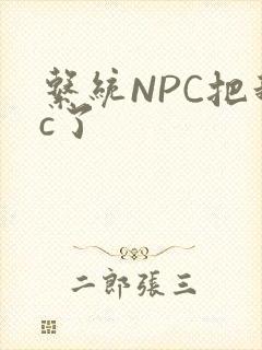 系统NPC把我c了