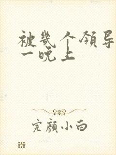 被几个领导玩弄一晚上