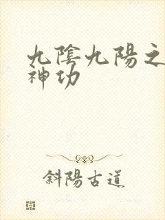 九阴九阳之阴阳神功